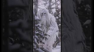 Yeti footage released nightmare yeti beast bigfoot ai [upl. by Alviani858]