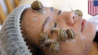 Lendir siput untuk kecantikan kini snail cream memasuki pasar Amerika  Tomonews [upl. by Llemej]