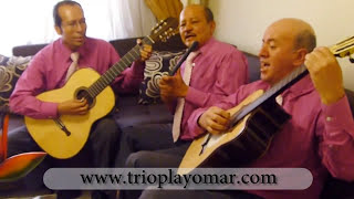 TRIO PLAYOMAR VALLENATOS EN GUITARRA [upl. by Irik]