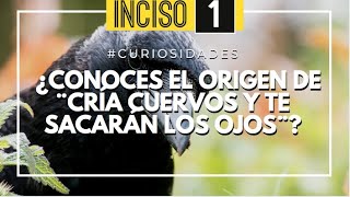 ¿CONOCES EL ORIGEN DE ¨CRÍA CUERVOS Y TE SACARÁN LOS OJOS¨ [upl. by Norabal]