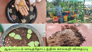 மாடித்தோட்டத்தில் காய்கறி விதைப்புஆடிப்பட்டம் AADIPATTAMSEED SOWINGterracegarden vegetables [upl. by Cara]