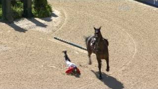 Rider falls off jumping horse  from Universal Sports [upl. by Nosrej]