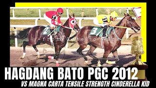 HAGDANG BATO vs MAGNA CARTA TENSILE STRENGTH CINDERELLA KID  PRESIDENTIAL GOLD CUP 2012 [upl. by Elleuqar]