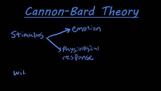 The CannonBard theory of emotion explained [upl. by Eicam]