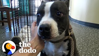 Dog That Spent A Year Running From People Melts Into Her Rescuers Arms  The Dodo [upl. by Linson822]