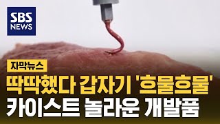 딱딱했다 갑자기 흐물흐물…카이스트 놀라운 개발품 자막뉴스  SBS [upl. by Chadd]