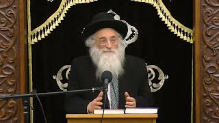 Rav Moshe Meiselman Walder Is A Rasha Merusha [upl. by Rahmann]