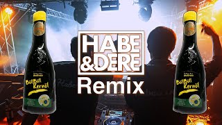 Die Pagger Buam  Böll böll Kernöl HabeampDere Hardstyle Remix [upl. by Nhar]