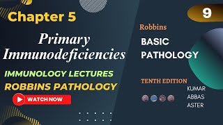 Primary Immunodeficiencies Robbins Pathology Chapter 5 Lecture 9 [upl. by Sarkaria]