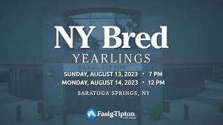 2023 FasigTipton New York Bred Sale [upl. by Kilan]