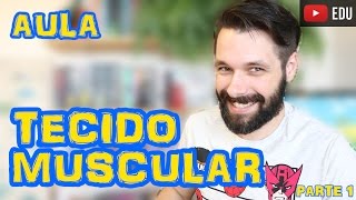 Tecido Muscular  Aula Parte I  Histologia  Prof Samuel Cunha [upl. by Arracat222]