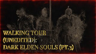 Skyrim Transformed Dark Souls amp Elden Ring Mods EPIC Overhaul PART 3 [upl. by Concordia880]