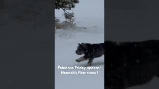 Fabulous Friday update Hannah‘s first snow [upl. by Enneiluj]