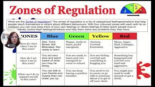 Zones of Regulation Video Lesson [upl. by Aihtenak437]