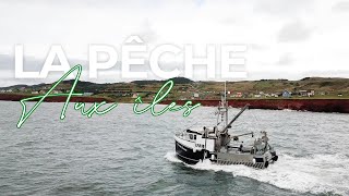 La PÊCHE au CRABE avec des PROS   ÎlesdelaMadeleine [upl. by Larrad382]