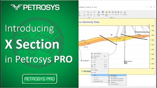 Introducing X Section in Petrosys PRO [upl. by Viscardi]