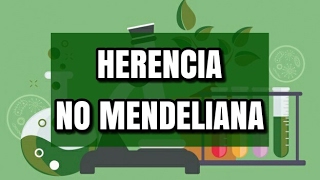 Genética Herencia no mendeliana explicación y ejercicios [upl. by Yreffej477]