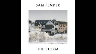 Sam Fender  The Storm Unreleased [upl. by Mansoor968]