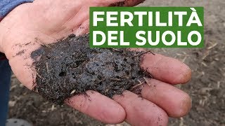 Fertilità del SUOLO il metodo dellacqua ossigenata  ORTO [upl. by Ynolem]