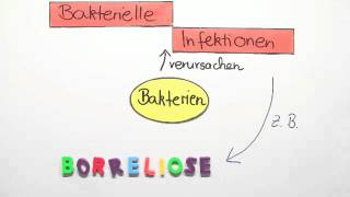 Bakterielle Infektionen  Biologie  Cytologie [upl. by Rosmunda]