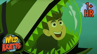 Deep Sea Adventures 🌊  Sharks Fish and Frogs with Wild Kratts  9 Story Kids [upl. by Ssecnirp]