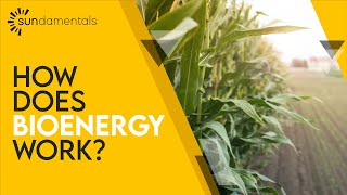 What is Bioenergy [upl. by Cynthea]