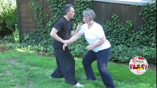 Yangstyle Taijiquan 8 Discframed Pushhands 4 5 amp 6 performed by Jim Madras amp Erica Anderson [upl. by Faun]