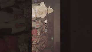 【HIPPY JAPAN TOUR】愛媛公演 ♪君に捧げる応援歌 [upl. by Ahsitneuq776]