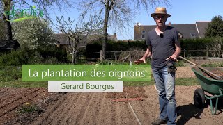 Comment PLANTER les OIGNONS [upl. by Jon]