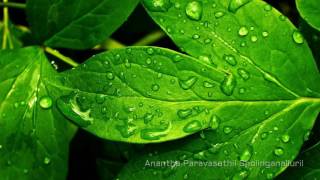 Anantha Paravasathil Sholinganalluril Tamil Devotional Song [upl. by Enalb]