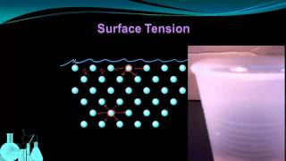 Chemistry 82b Properties of Liquids Surface Tension and Capillary Action [upl. by Urion]