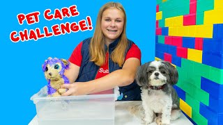 Wiggles and Waggles Pet Care Challenge with the Assistant [upl. by Walford]