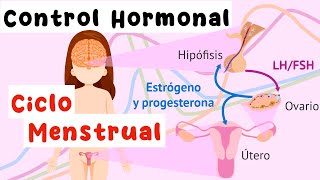 Control hormonal del ciclo menstrual Eje hipotálamohipófisisgónada [upl. by Marjy255]