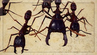 Driver Ants are INSANE in Empires Of The Undergrowth [upl. by Doretta]