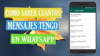 Como Saber Cuantos Mensajes Se Envian En WhatsApp 2024 [upl. by Marinna]