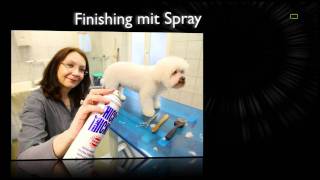 Hundesalon Sallmann  Krefeld  Hundesalon Tiersalon Hunderasse [upl. by Chery304]