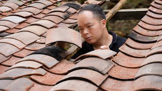 7 years living in the forest making clay tiles building chicken coop moving chickens to new place [upl. by Atteoj]