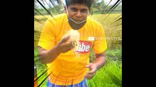 Firoz ikkaTHUG life 😎comedyvillagefoodchannel status malayalam status  THE FEATHERS [upl. by Esyla]