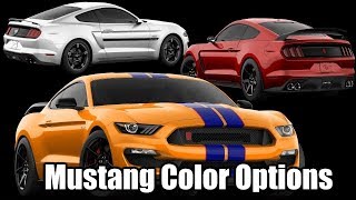 2019 ford mustang GTShelby color options [upl. by Pass]