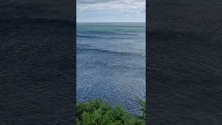 A breezy moment off the north coast of Anglesey [upl. by Garratt]