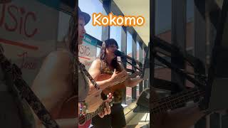 Kokomo cover beach boys acousticguitar solo music livemusic ukulele beachboys [upl. by Guilbert819]