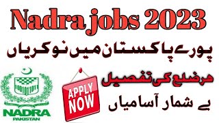 Nadra Jobs 2023 Online Apply  Latest Nadra Govt Jobs 2023  New Nadra Jobs 2023  Today Nadra Jobs [upl. by Nylirac]