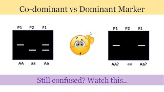 Dominant and Codominant Marker Clear the difference between the two [upl. by Einner]