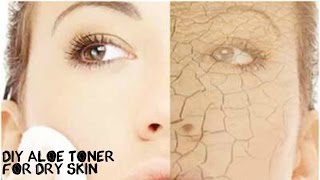 THE BEST EASY DIY TONER FOR DRY SKIN  AmbreenK [upl. by Arlon54]