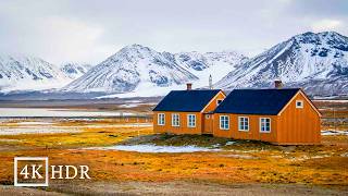 Svalbard Life at the EDGE of the World  A Remote Arctic Island with 3000 People and Polar Bears [upl. by Chelsey]