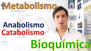 Metabolismo y Rutas metabólicas Anabolismo y Catabolismo EN 11 MINUTOS [upl. by Pry]