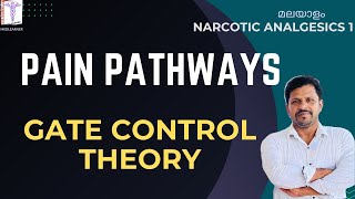 Pain Physiology Malayalam Pain Pathways Analgesics Malayalam Gate Control Theory Narcotic Analgesics [upl. by Nevaed850]