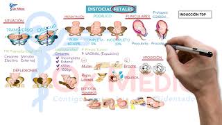 Ficha resumen Obstetricia Distocias fetales ENAMENARMSERUMS [upl. by Aenahs80]