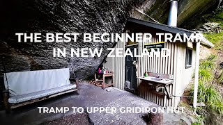 The Best Beginner Tramp In New Zealand  Tramp To Upper Gridiron Hut [upl. by Rik]