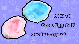 Grow Eggshell Geodes Crystal  Crystal Science [upl. by Soinski]